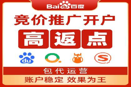 成功SEM推广代运营案例展示
